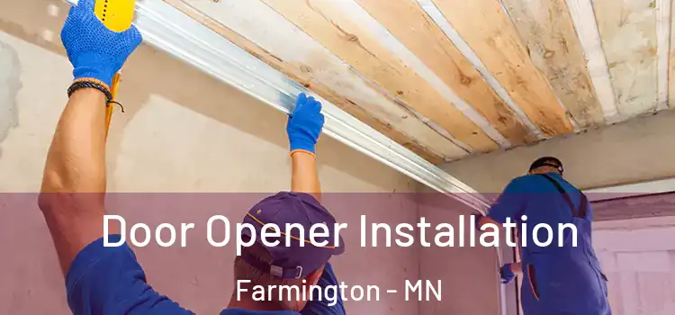 Door Opener Installation Farmington - MN