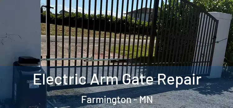 Electric Arm Gate Repair Farmington - MN