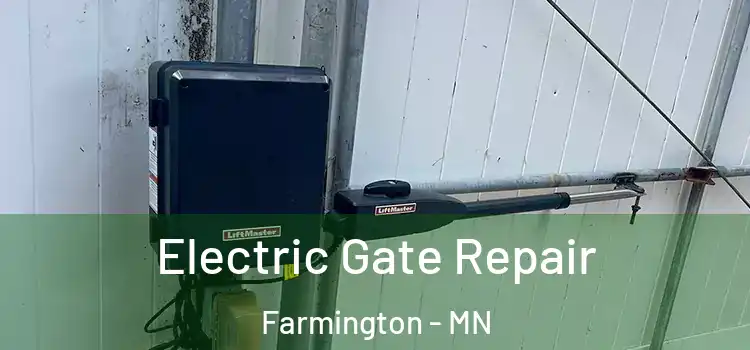Electric Gate Repair Farmington - MN